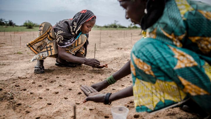 Strengthening the monitoring and evaluation system: rural support programme, Togo
